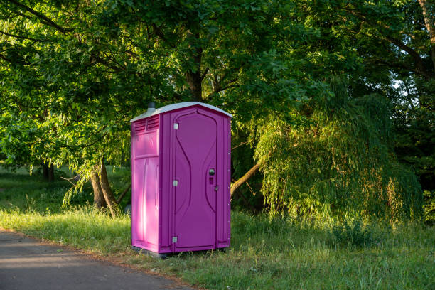 Best Affordable portable toilet rental  in Ofallon, IL